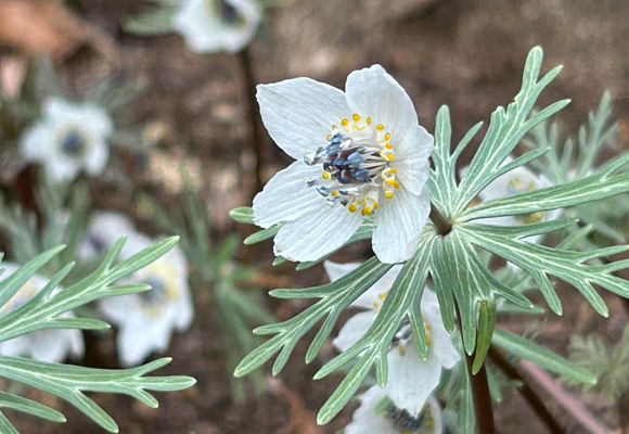 ミッチーページ ミッチー | YAMAP / ヤマップ