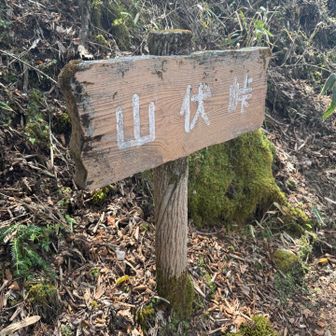 山伏峠。道の途中に突然標識があります。