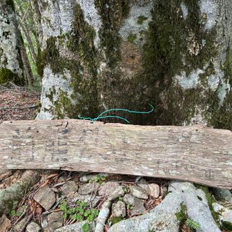前熊伏山山頂。
ほぼ、分岐の峠にしか見えない😅

この看板のおかげで気づきました（笑）