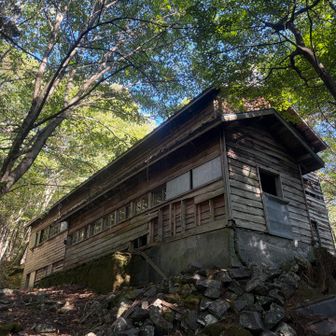 暗い時の大沢山荘は不気味な雰囲気でしたが、明るくなると素敵な佇まいでした。
