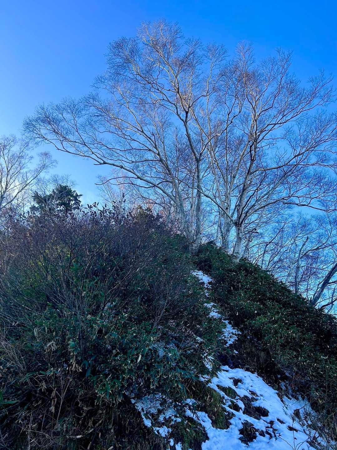 クズバ中腹辺りから少し雪出る
火曜日から降ってないみたい　薄いところ凍ってましたが、帰る頃には解けていた