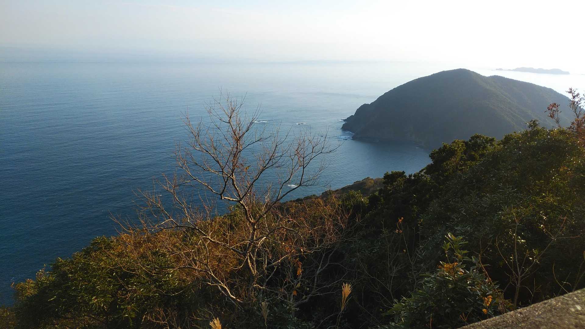 右手に元猿山🐵