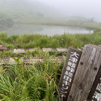 尾瀬の方へ行く道もあり、気になるけど…また今度