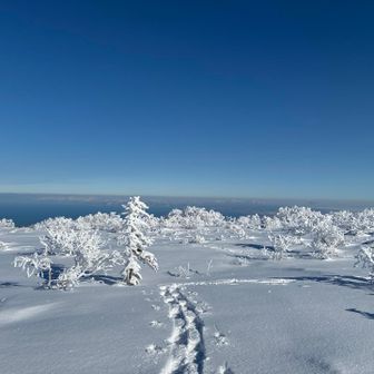 下山後に調べたら、標識はもっと東側でした