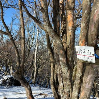 皆子山971.33m⛰️