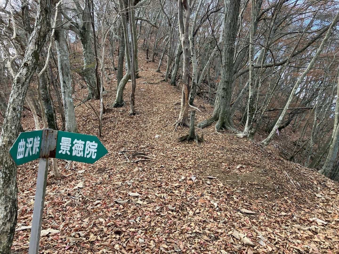 つながった❣️