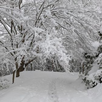 🎶小瀬村晶-lightdance