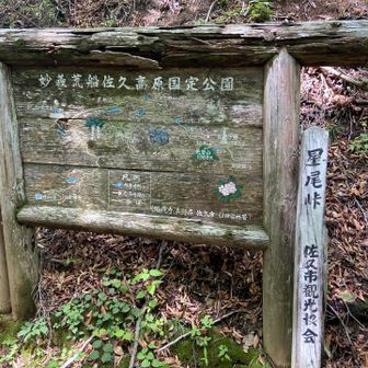 ここまでは遊歩道　ぬかるみや滑りやすくなる