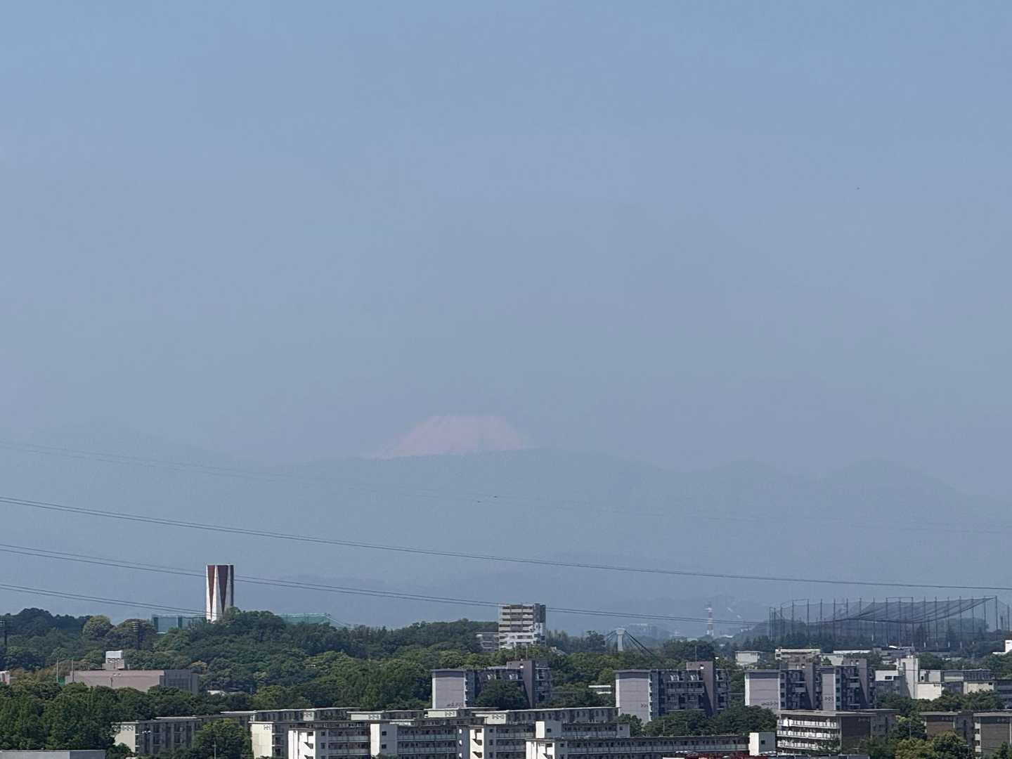 諏訪ヶ岳-古道五差路 縦走コースの写真