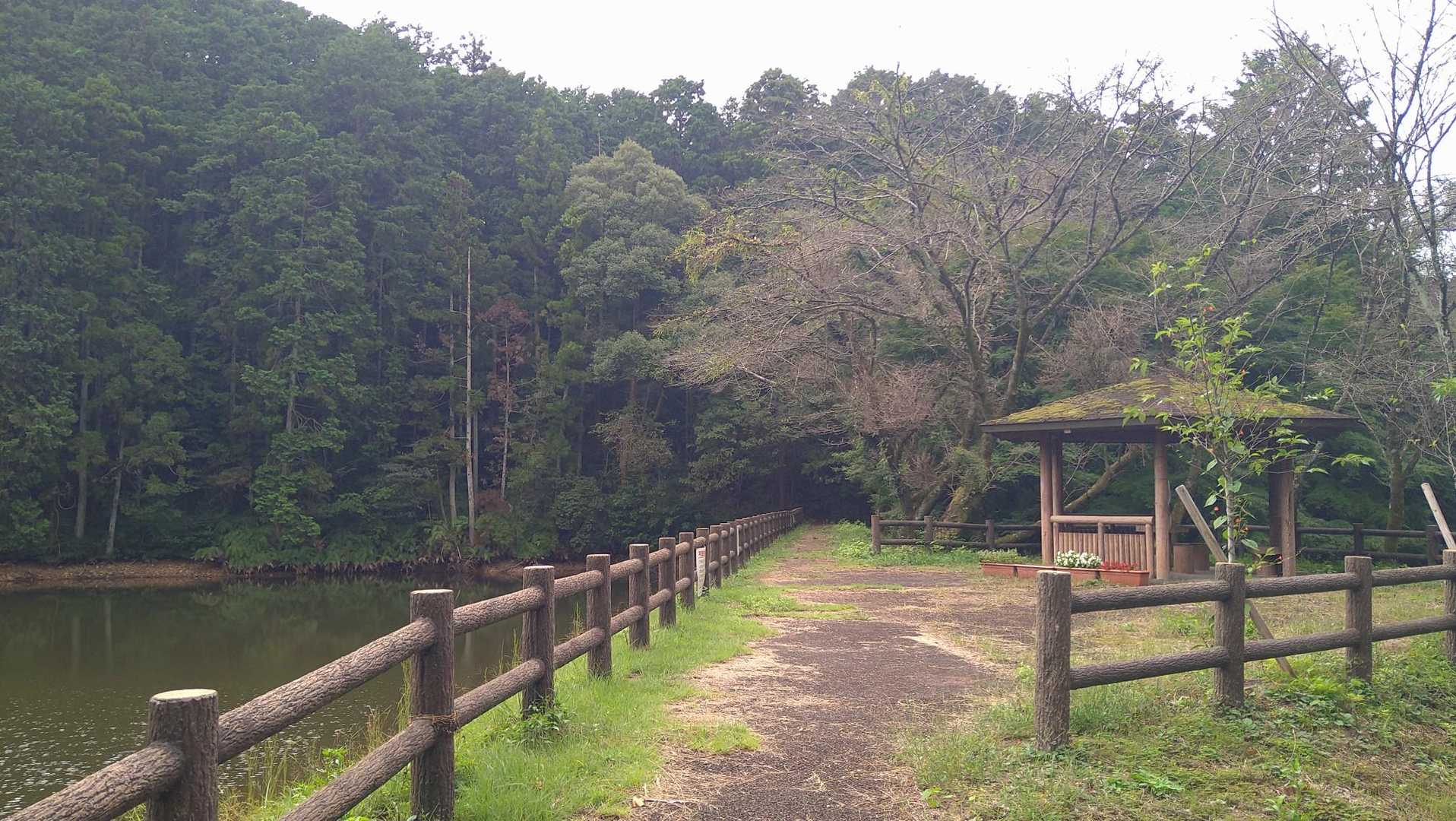 こちらからスタート