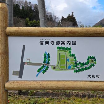 信楽寺跡
こちらにもちょっと行ってみましょう👣