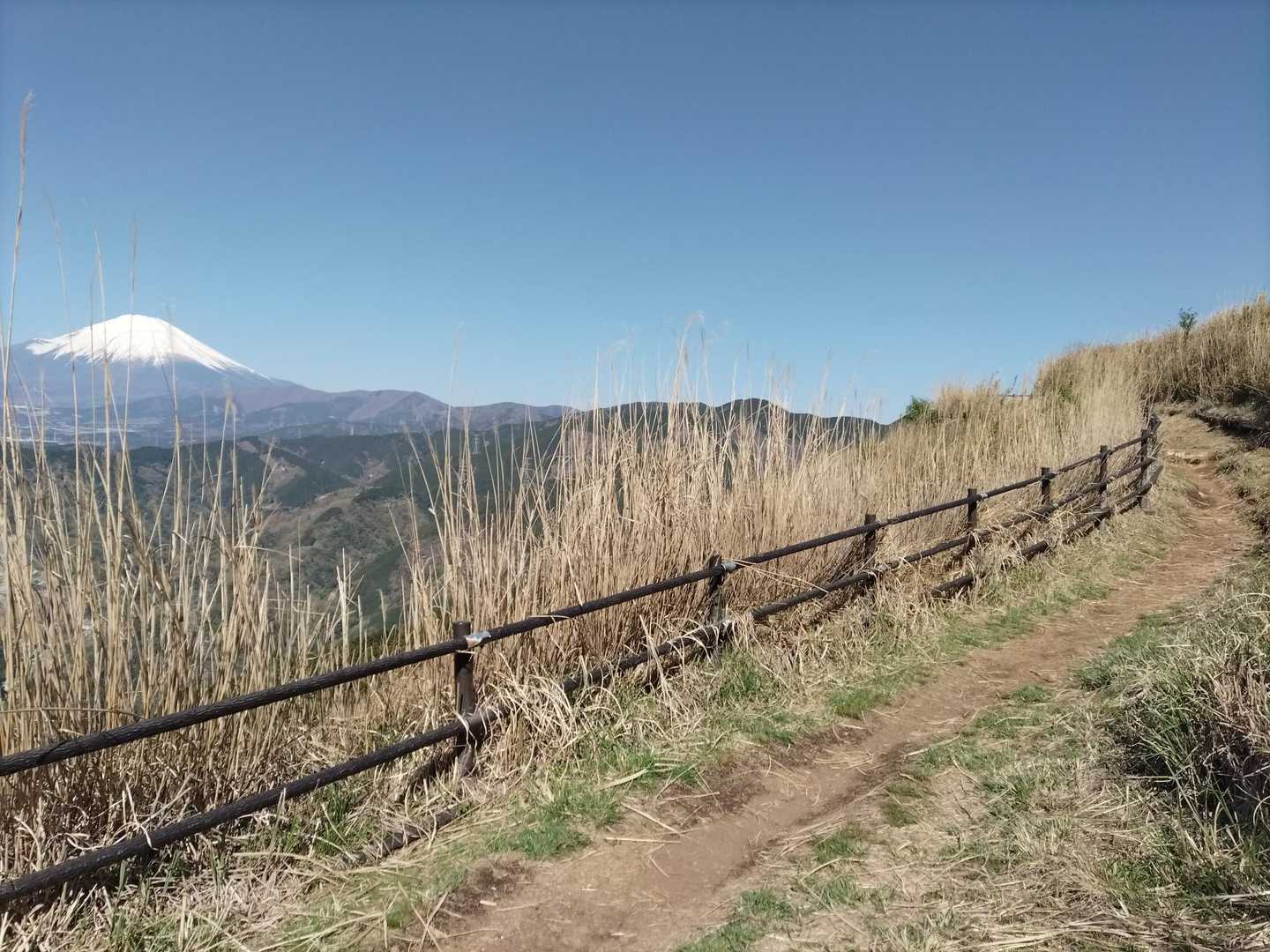 大野山登り口-大野山 往復コースの写真