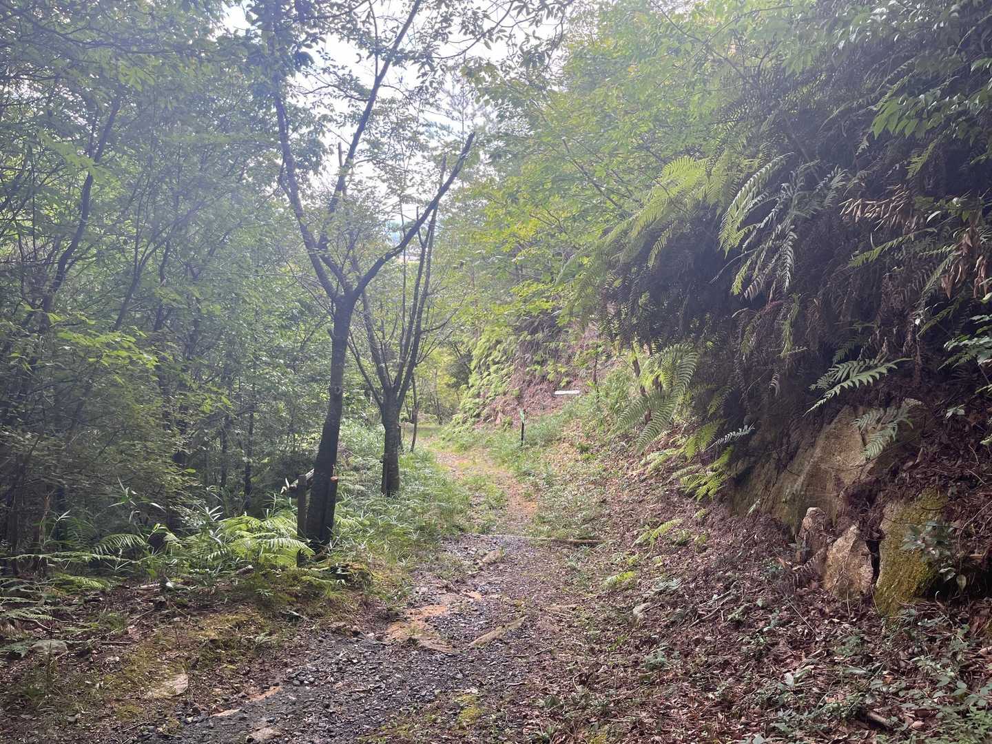 しかし蒸し暑い🥵
大台ヶ原⛰️の涼しさが懐かしい🥹
早く涼しくなって欲しい🍂