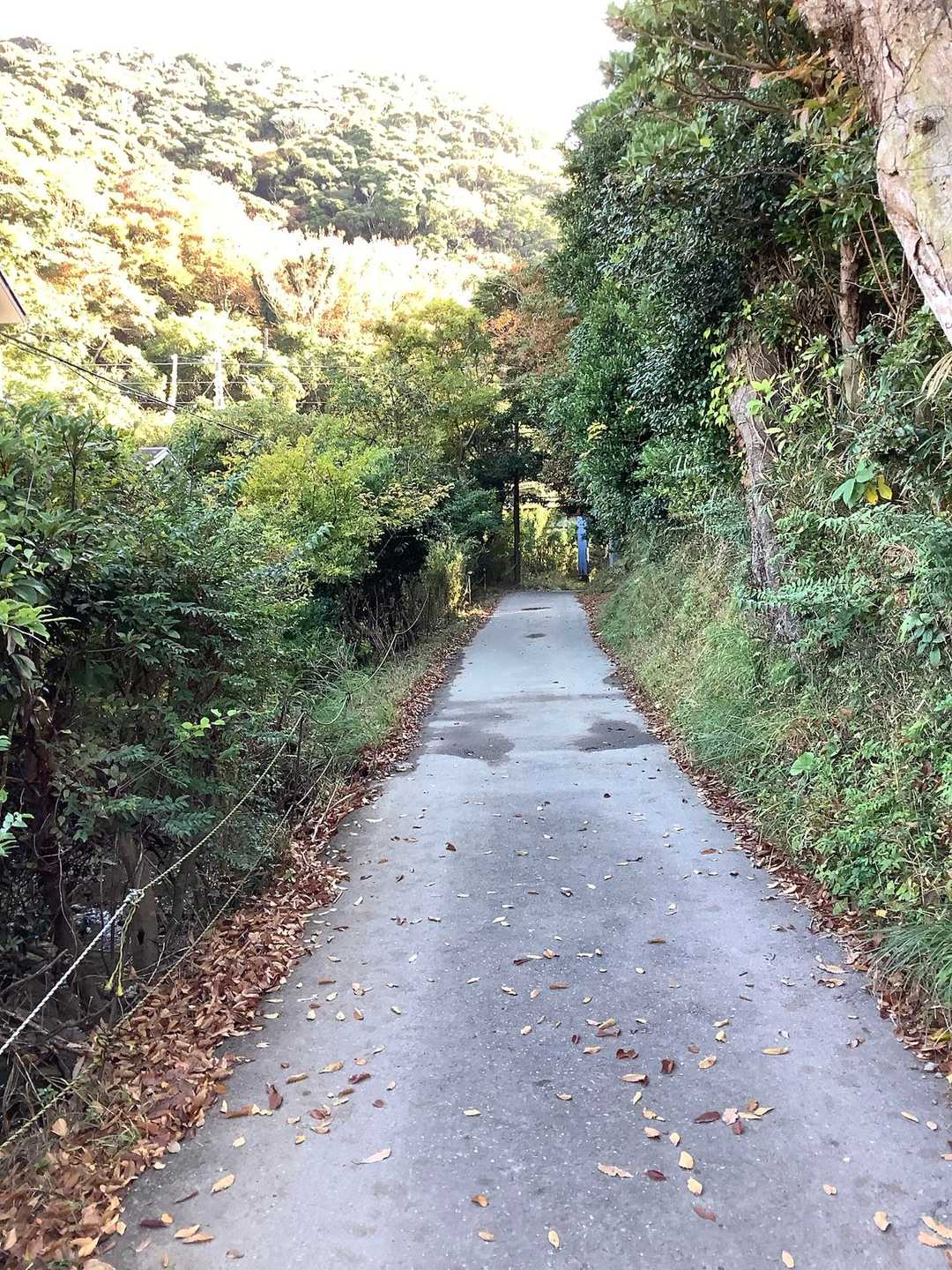 駅から住宅街を抜けて内房線方面に向かう道