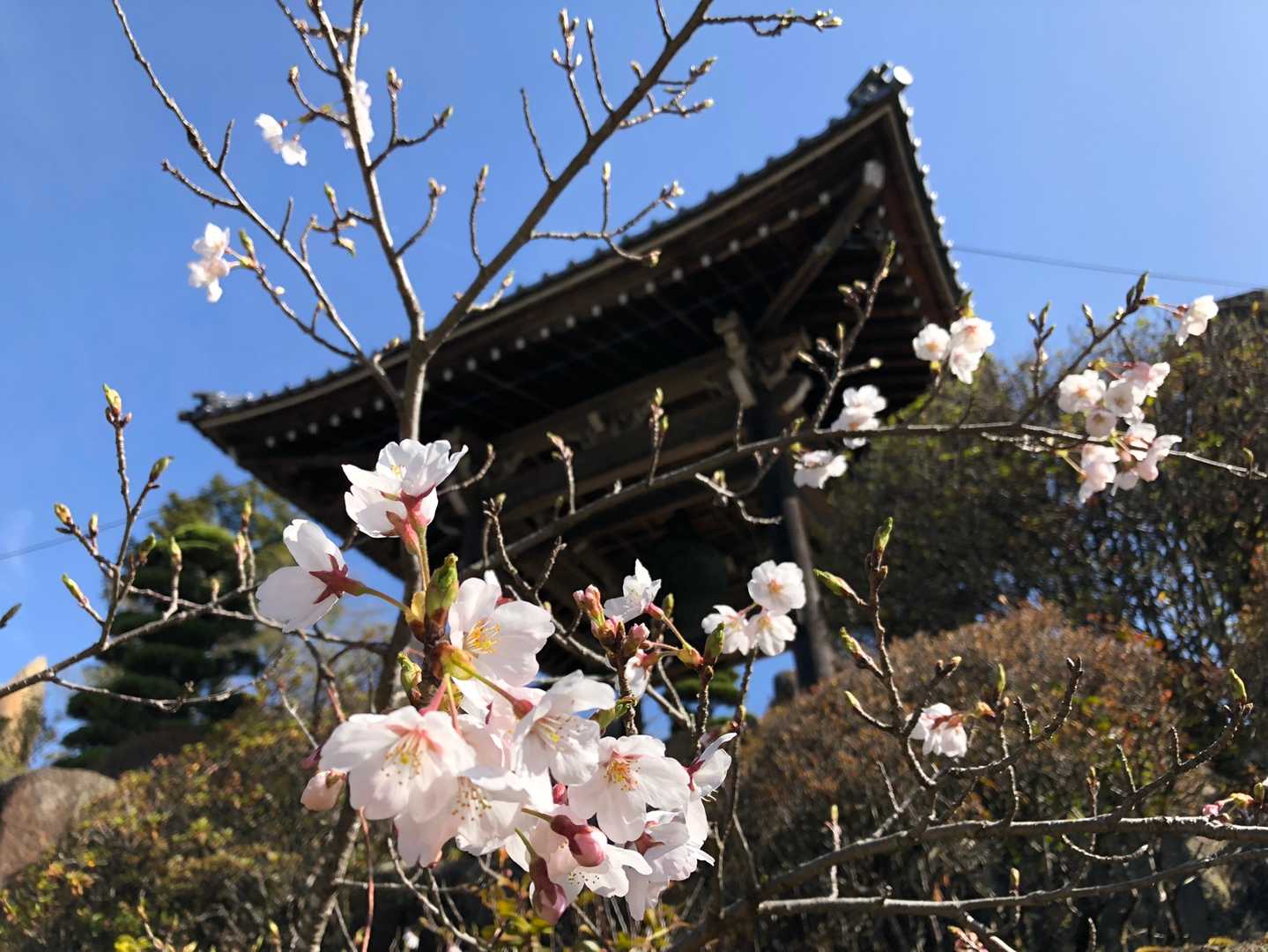 龍王山の写真