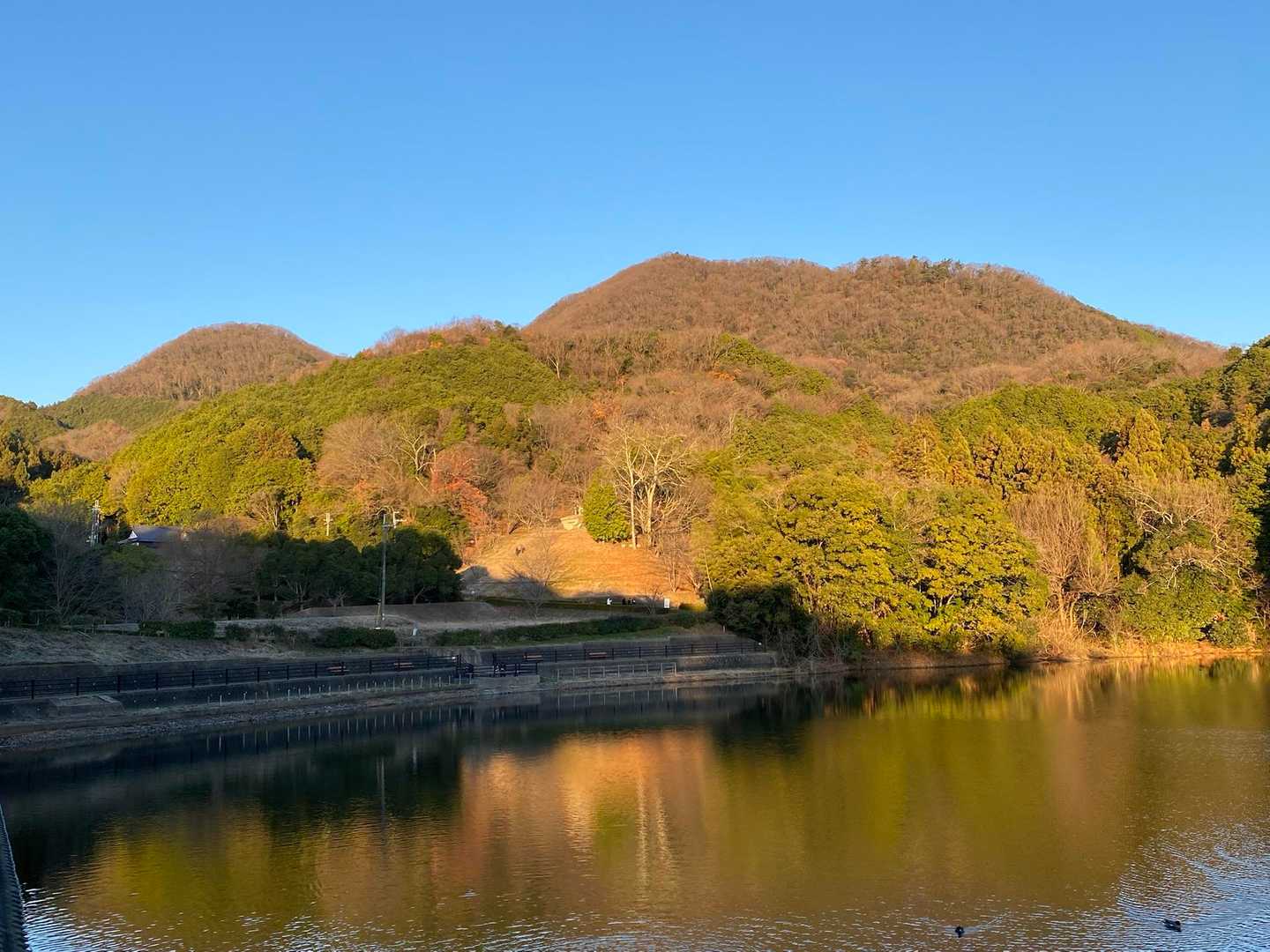 いつもの一枚😀