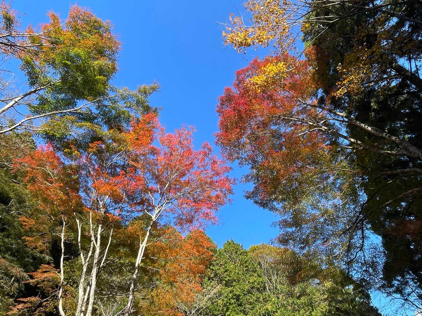 イイ天気