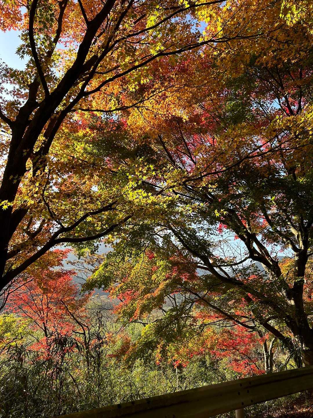 二丈岳〜女岳 縦走ルートの写真