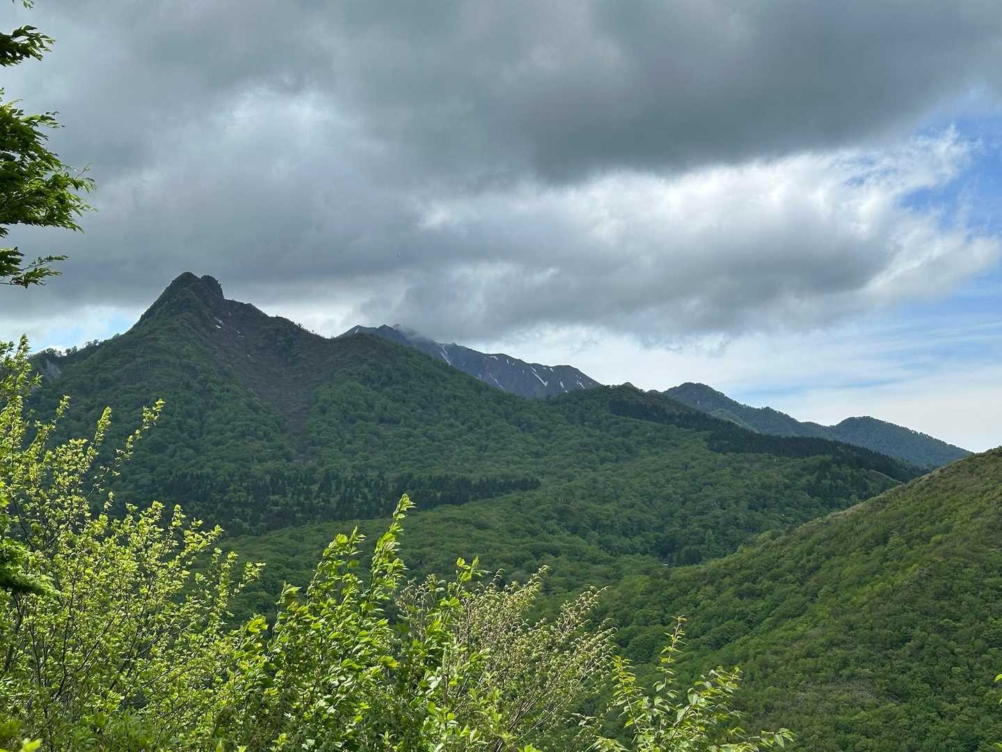 烏ヶ山の方
後ろに大山東壁〜三鈷峰方面