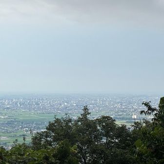 登って景色を眺めました