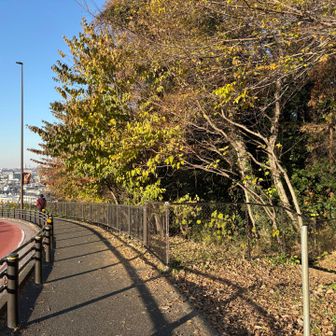 巨人への道を登り切ったら、車道を少し戻ったところの脇に遊歩道の入口があります。
ここら辺からでもすでに眺望がもうすごいです!