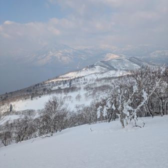 この尾根沿をドーンというイメージ。