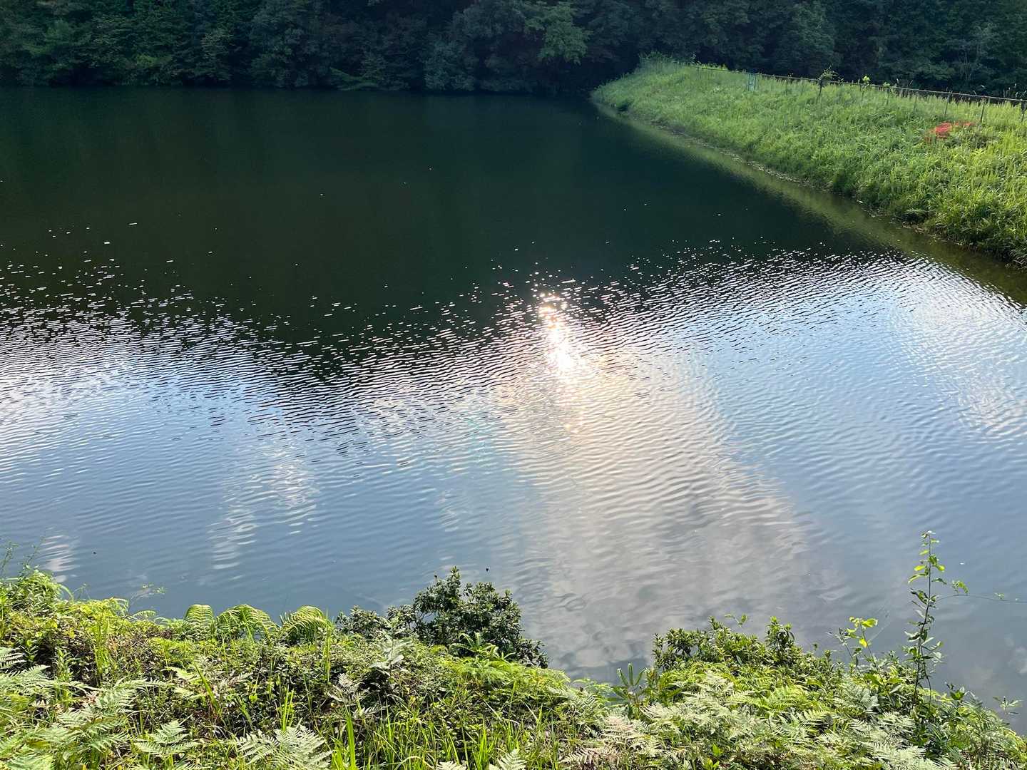 坂口池💦無事下山しました！✌️