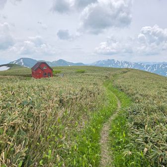 丹後山避難小屋と笹原の草原✨