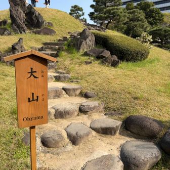 旧芝離宮恩賜庭園では二つのグレーピークがあります。一つ目は大山