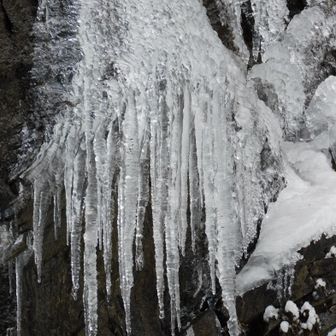 残ったこの造形美たちが 更に更に～育つのだ
