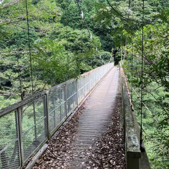 天王吊橋