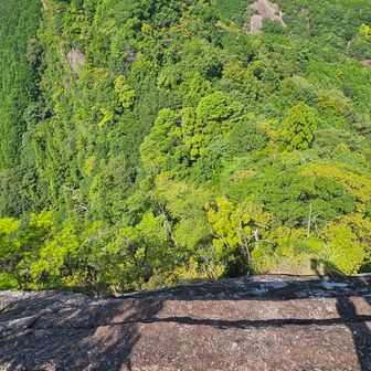 写真ではわかりづらいかもだが、雌岳の頂上はアプローチの反対側はストンと切り立っており、なかなかのスリリングな頂上ではあります