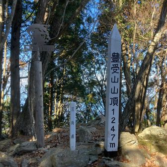 豊受山山頂。ここは眺望がありません。