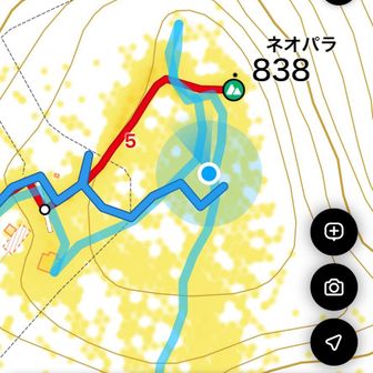 わかっちゃいるけど笹が埋まってなくてトランポリンみたいに浮いていましたが、ズッポリハマり落とし穴みたいに落ちて諦めました　笑
100mルールで勘弁してください🤣