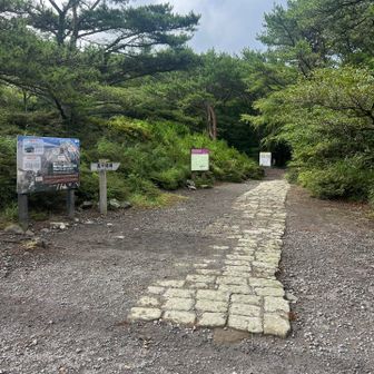 登山口へGO👆