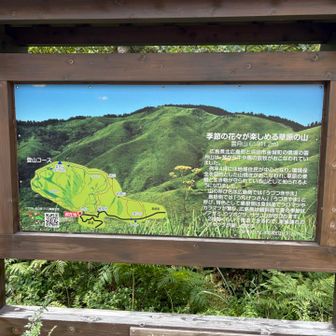 下りてきました