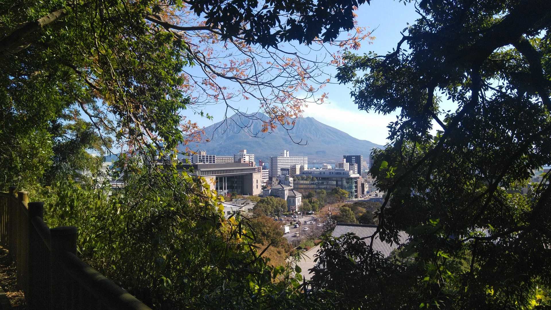 ひょっこり桜島はん
