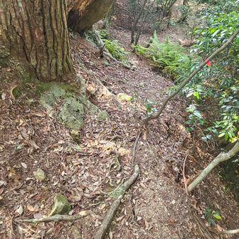 船石登山口に出ました。