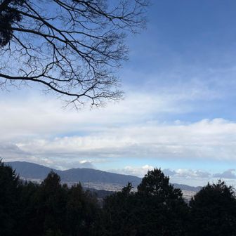 スタートしてすぐの登り終わりの展望台