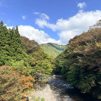 やっぱりソロも楽しいな☺️

日本コバは素敵な渋山でした⛰️✨
