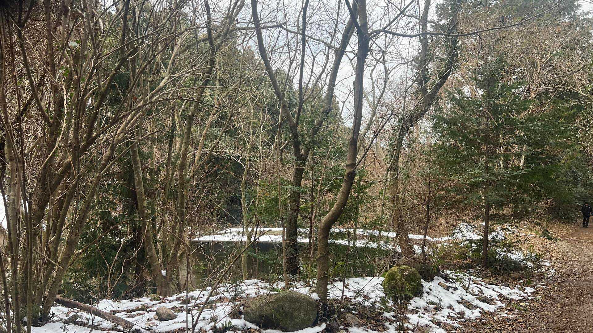 少し歩くと道脇に雪が出てくる
