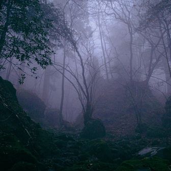 陽が差したらサイコ〜なのになぁ。