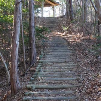 あづま屋は展望はなく通過しました。