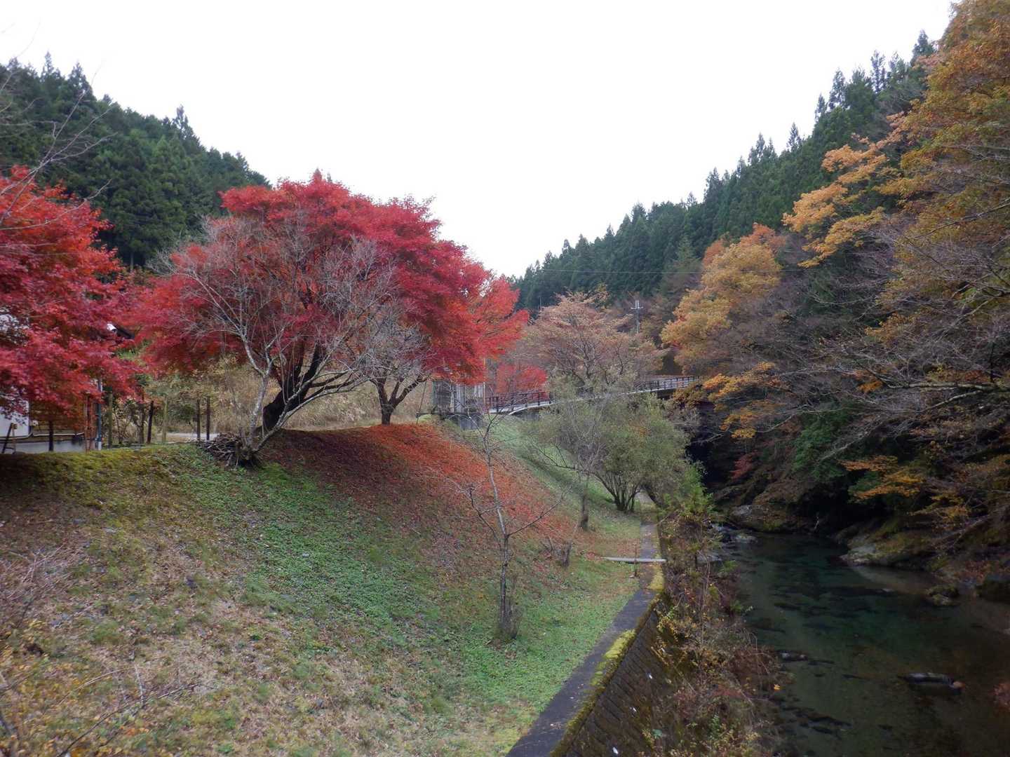 【みたらい渓谷】世界遺産の山懐を流れる滝と清流に癒されるの写真
