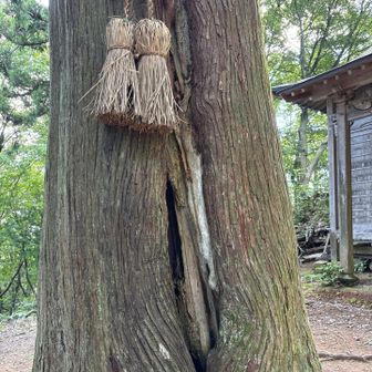 二回目小文殊