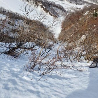 登って来たとこを上から覗く