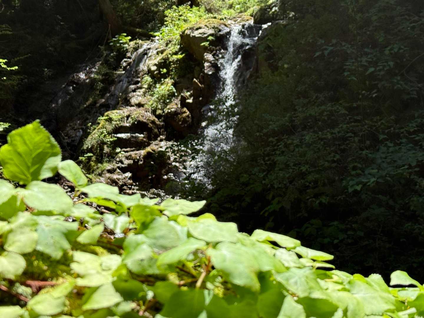 カトラ谷の入口の滝
