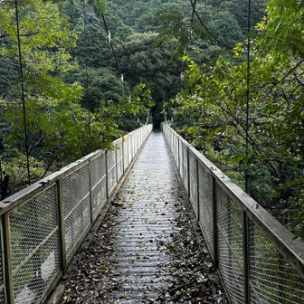 全山縦走のためだけに作られた天王吊橋