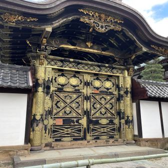 めっちゃ派手やわ