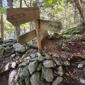 前哨戦の白根御池まで樹林帯歩き。山と高原地図ではCT2.5。道標は3時間換算。